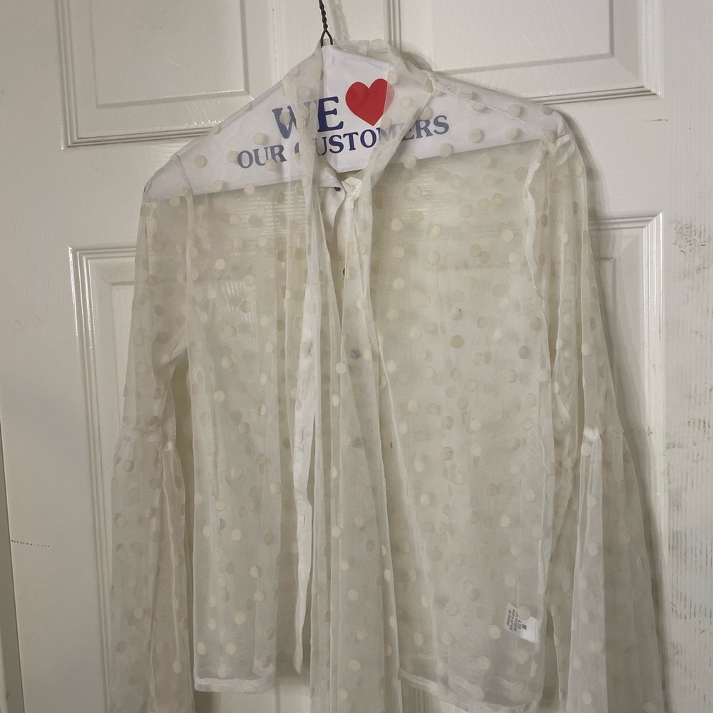 Sheer Polka Dot Blouse
